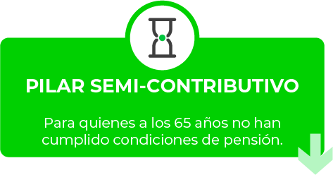 Pilar Semi-contributivo